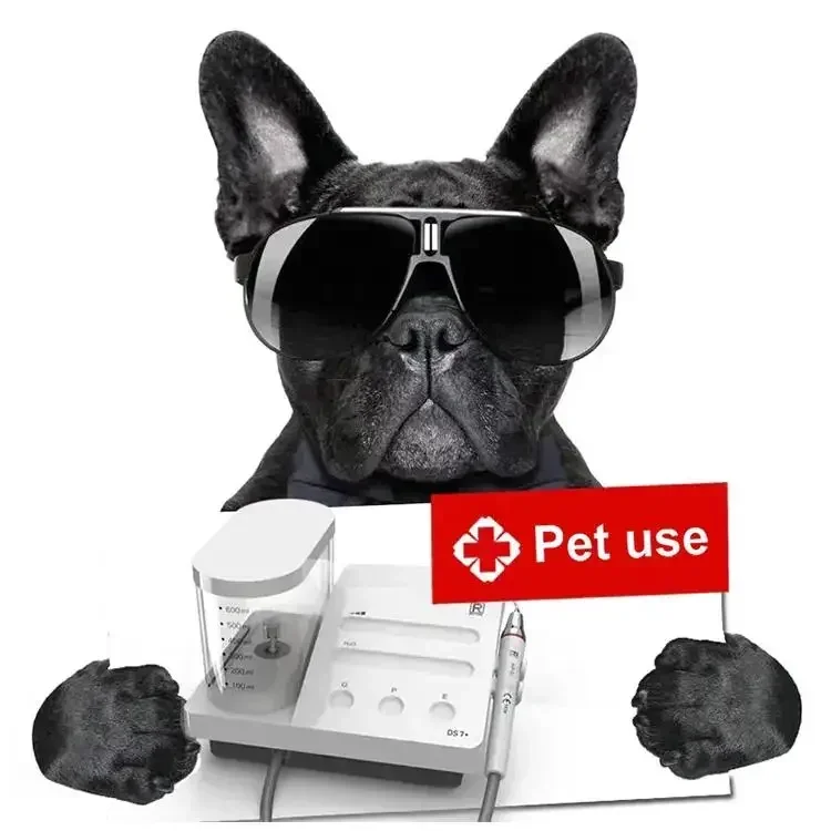 2025 LED-handstuk Dierenzieken - Dental Scaler Ultrasonic recensie en prijs